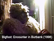 bigfoot: encounter in burbank