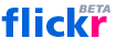 Flickr Logo: click to get home
