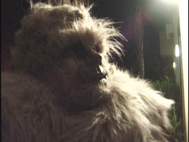 bigfoot5.jpg (45660 bytes)